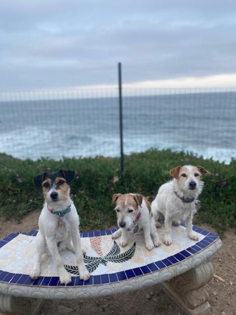 Beachfront Condo W Pools Steps To Beach & Mins To Dt Rosarito Exterior photo